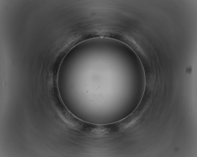 X0000091680213200708231424