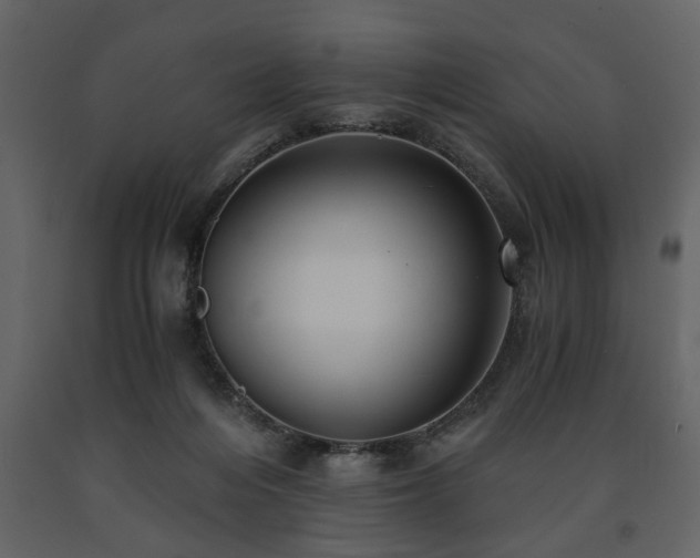 X0000091680216200708231424