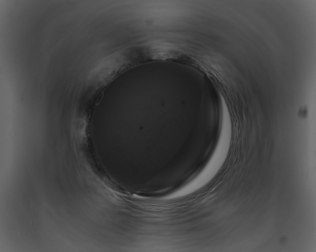 X0000091680219200708231424