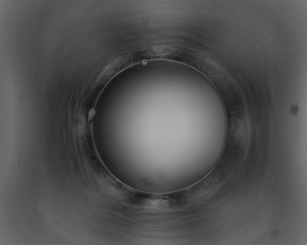 X0000091680220200708231424