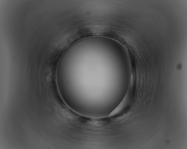 X0000091680221200708231424