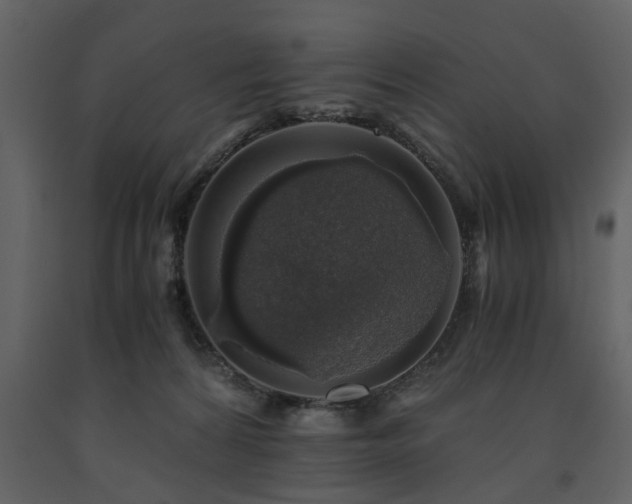 X0000091680224200708231424