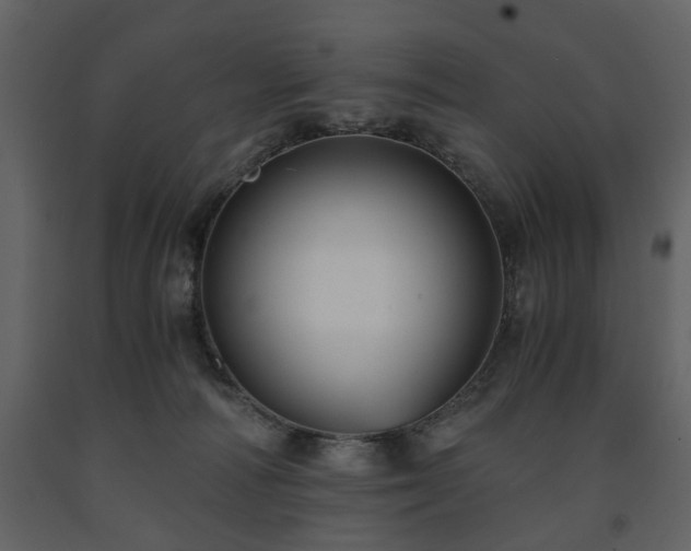 X0000091680226200708231424