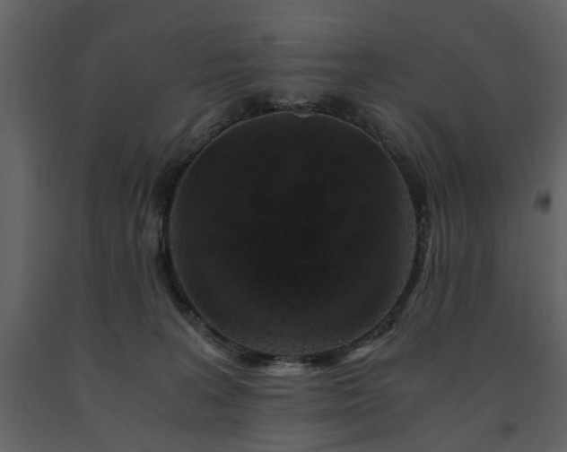 X0000091680227200708231424