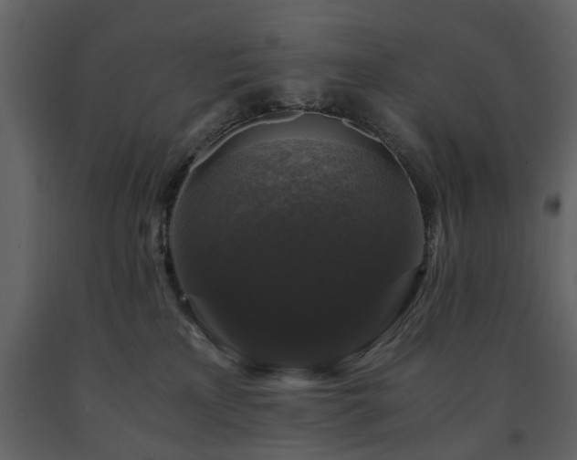 X0000091680233200708231424