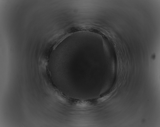 X0000091680235200708231424
