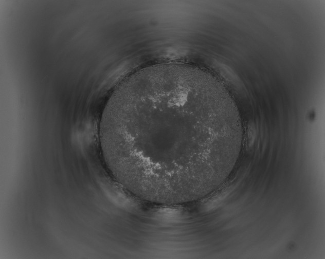 X0000091680236200708231424