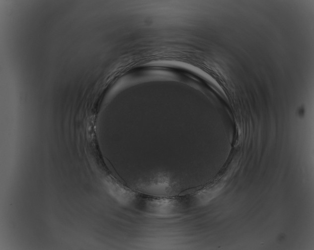 X0000091680237200708231424