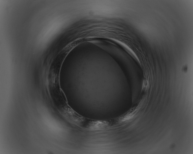 X0000091680239200708231424