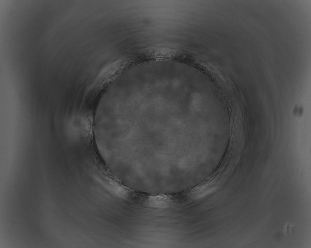 X0000091680240200708231424