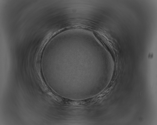 X0000091680241200708231423