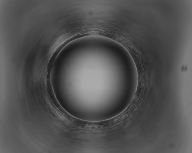X0000091680242200708231423