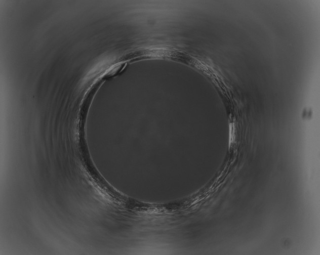 X0000091680243200708231423