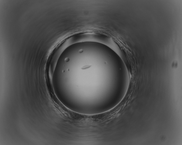 X0000091680244200708231423