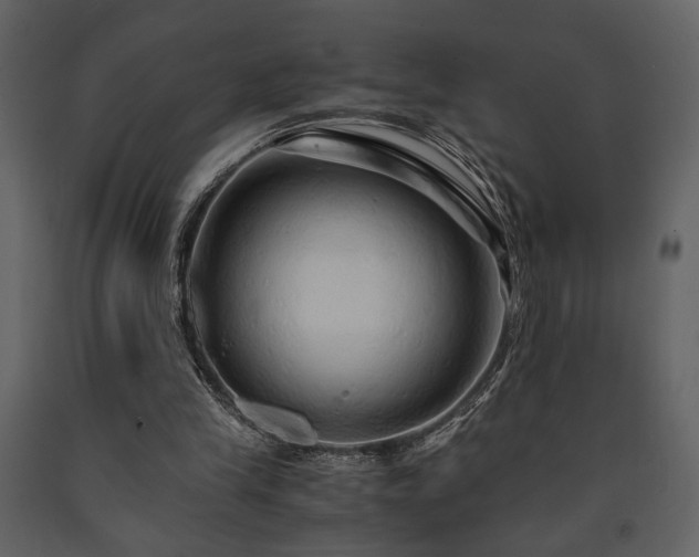 X0000091680245200708231423