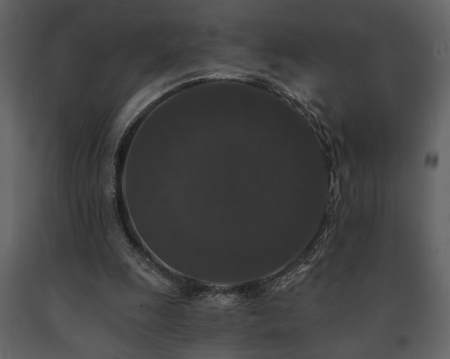 X0000091680247200708231423