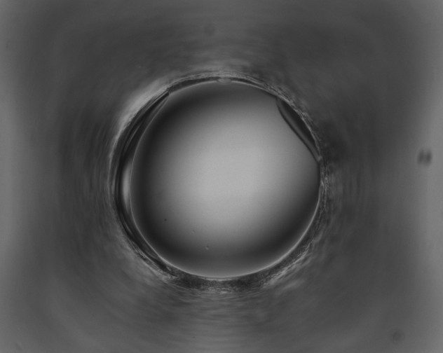 X0000091680248200708231423