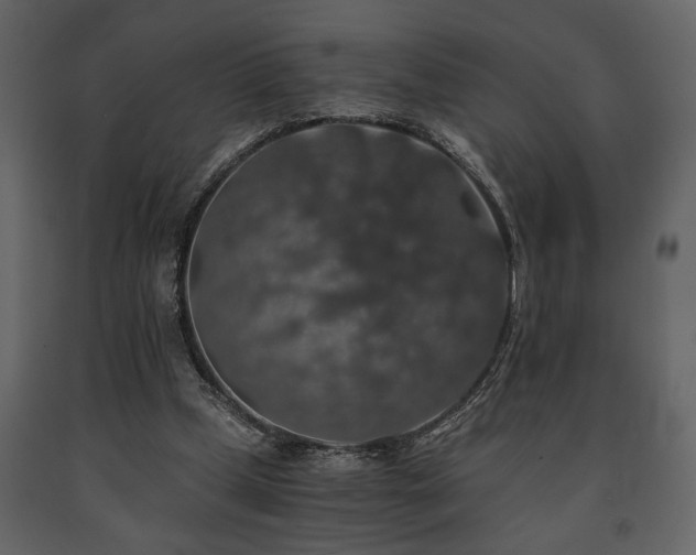 X0000091680249200708231423