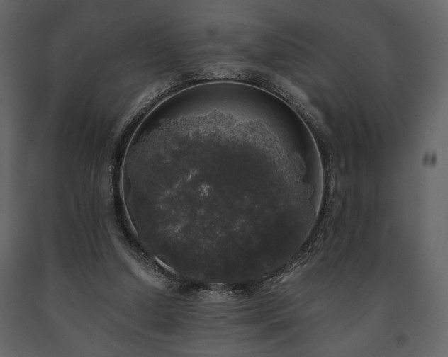 X0000091680250200708231423