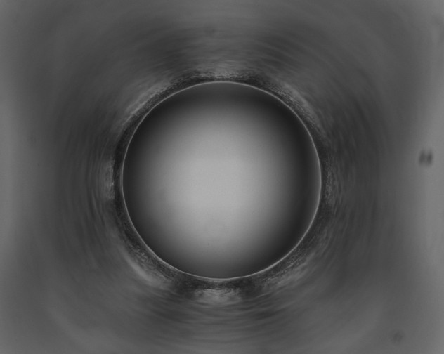 X0000091680251200708231423
