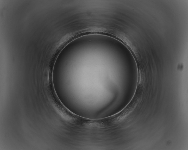 X0000091680253200708231423