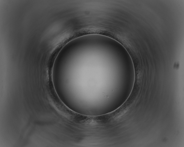 X0000091680254200708231423