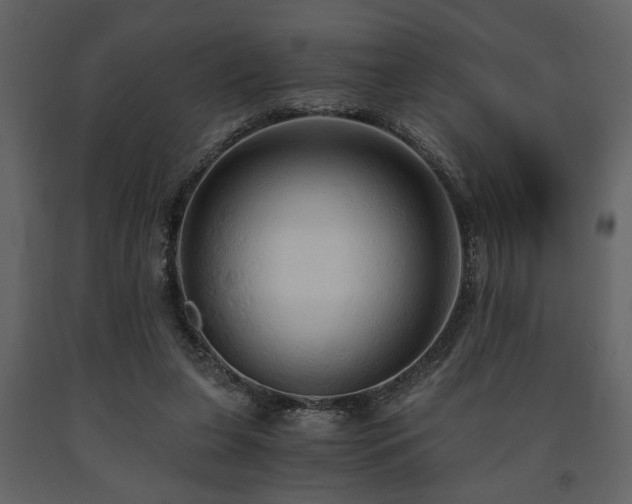 X0000091680255200708231424