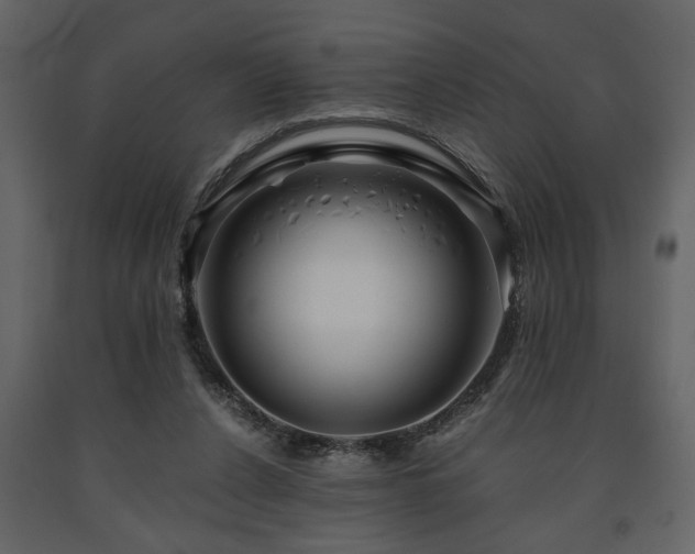 X0000091680256200708231424