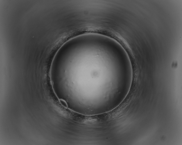 X0000091680257200708231424