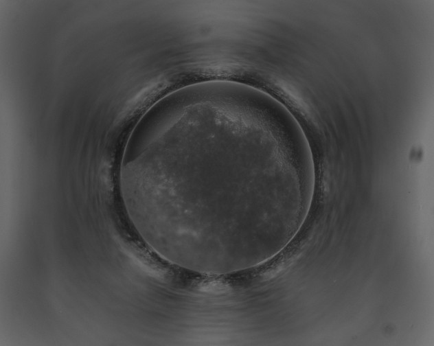 X0000091680258200708231424