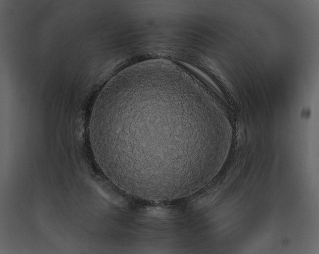 X0000091680259200708231424