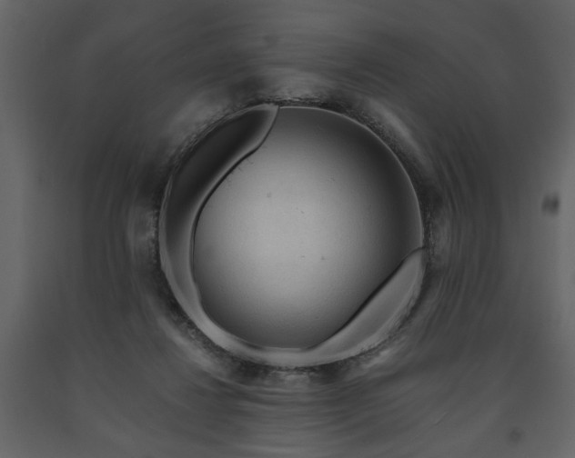 X0000091680260200708231424