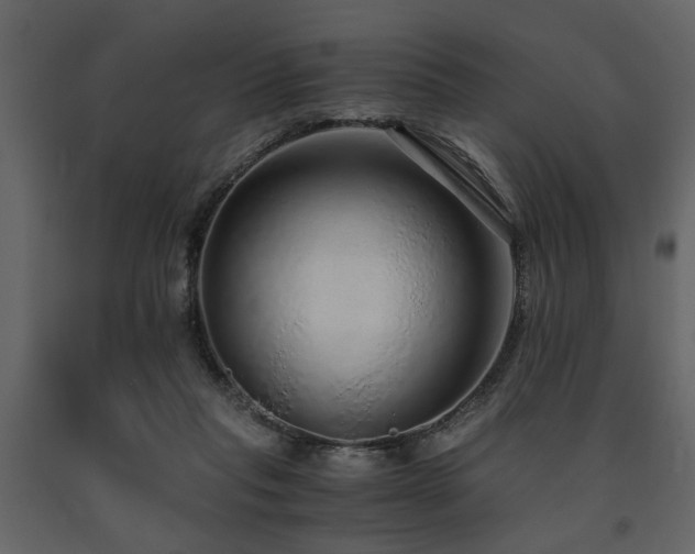 X0000091680261200708231424