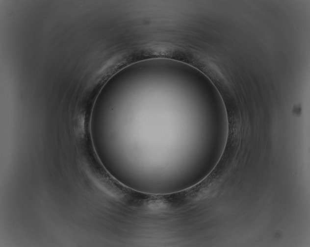 X0000091680262200708231424