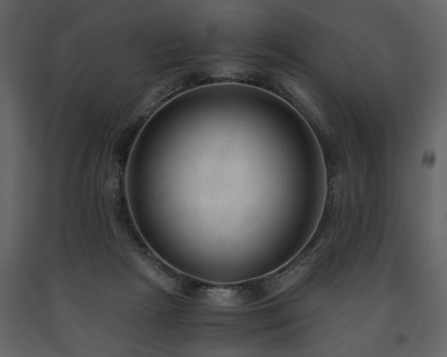 X0000091680265200708231424