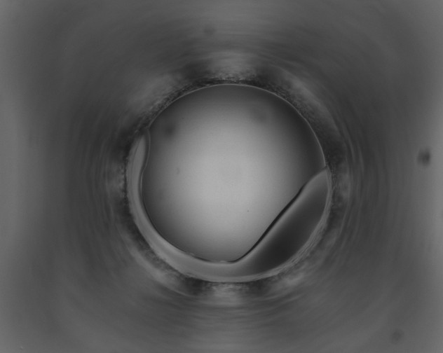 X0000091680268200708231424