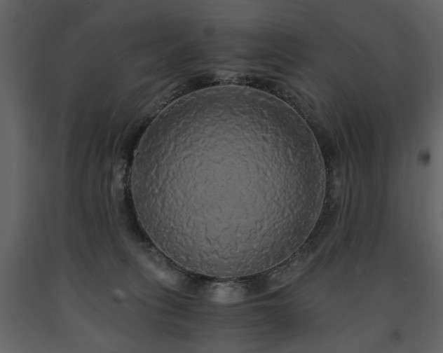 X0000091680275200708231424