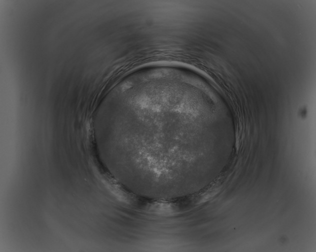 X0000091680276200708231424
