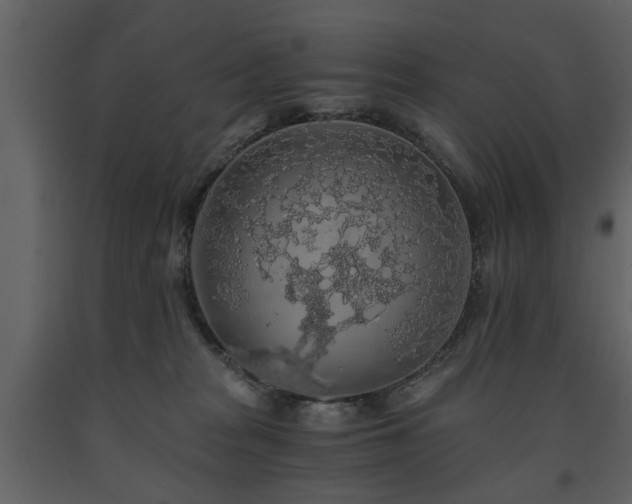 X0000091680277200708231424