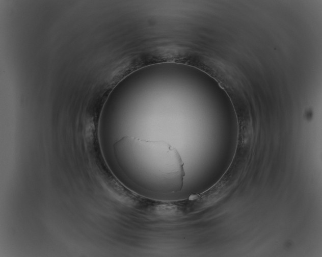 X0000091680279200708231424