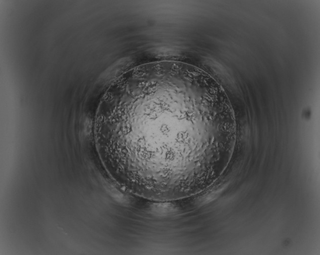 X0000091680281200708231424