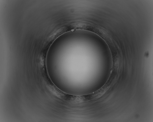 X0000091680282200708231424