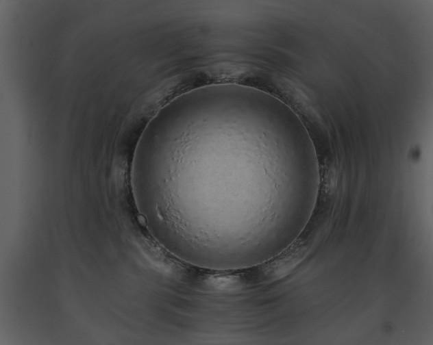 X0000091680283200708231424