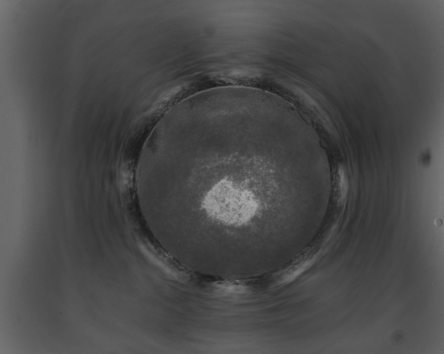X0000091680284200708231424