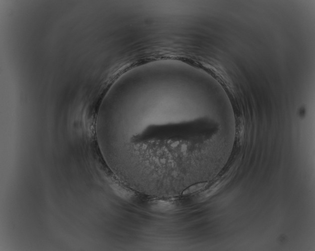X0000091680285200708231424