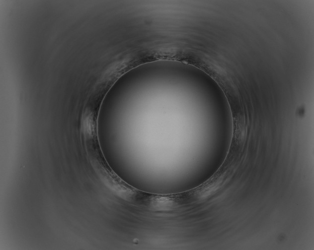 X0000091680287200708231424