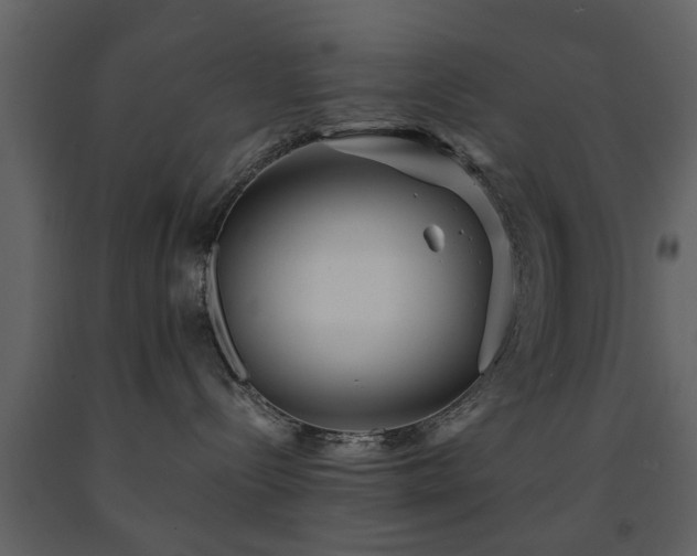 X0000091680288200708231424