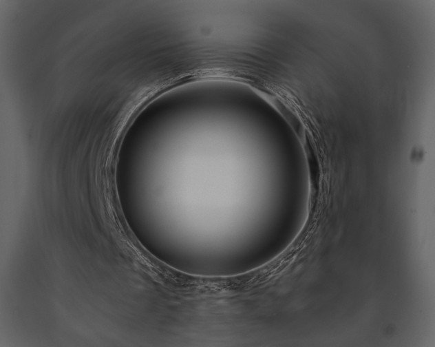 X0000091680289200708231423
