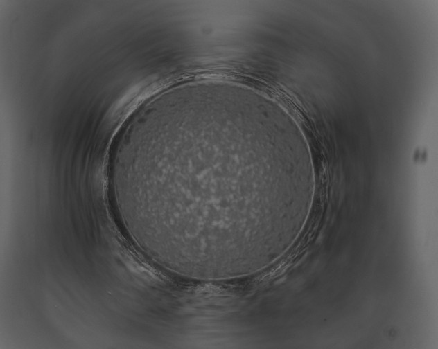 X0000091680290200708231423