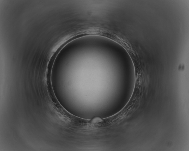 X0000091680292200708231423